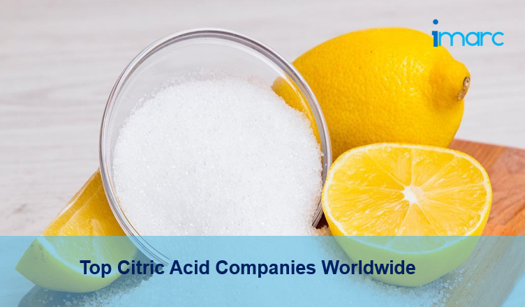 citric acid companies